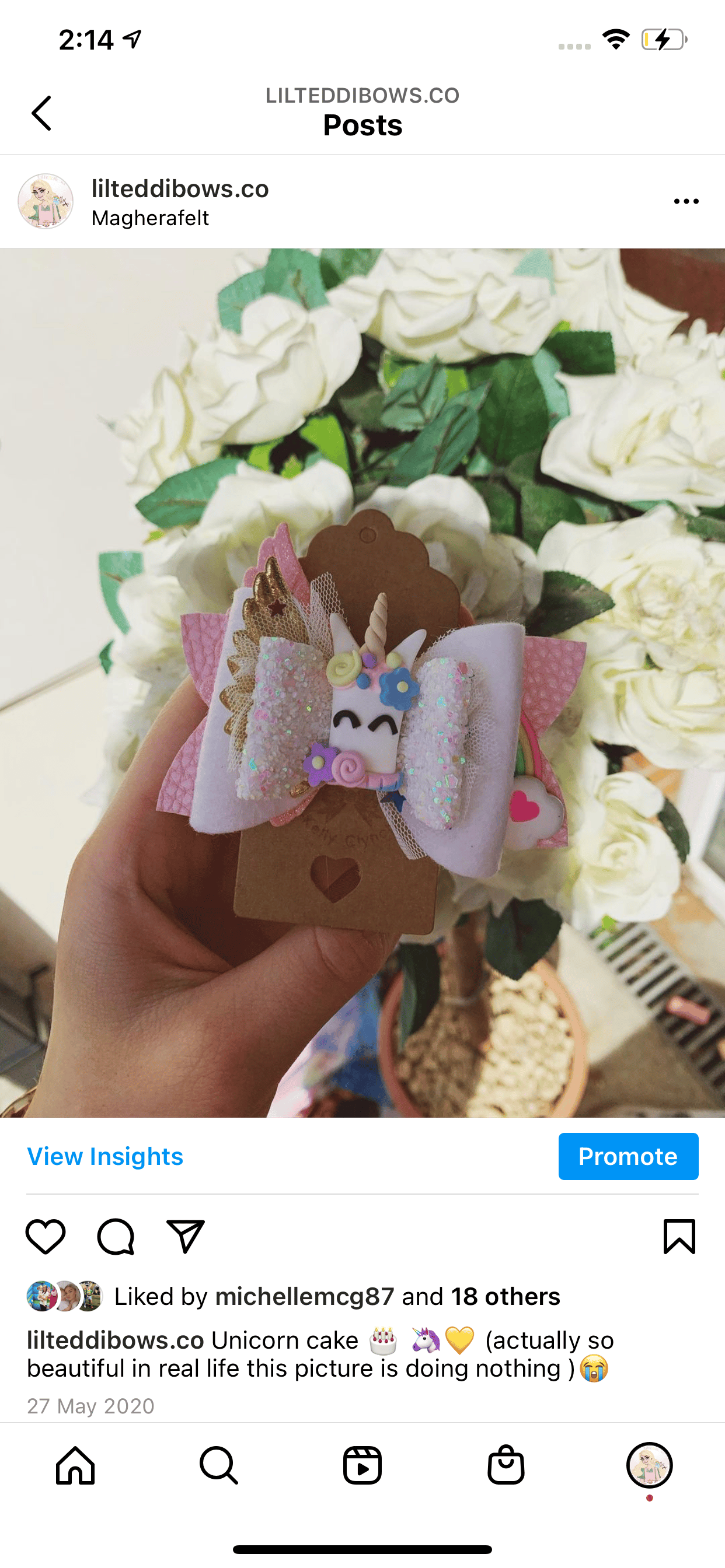 Image of Clay Gnome & Unicorn cake 