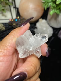 Image 5 of Lemurian Quartz Cluster