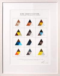 Image 1 of Bird Identification: Colour Triangle Chart 