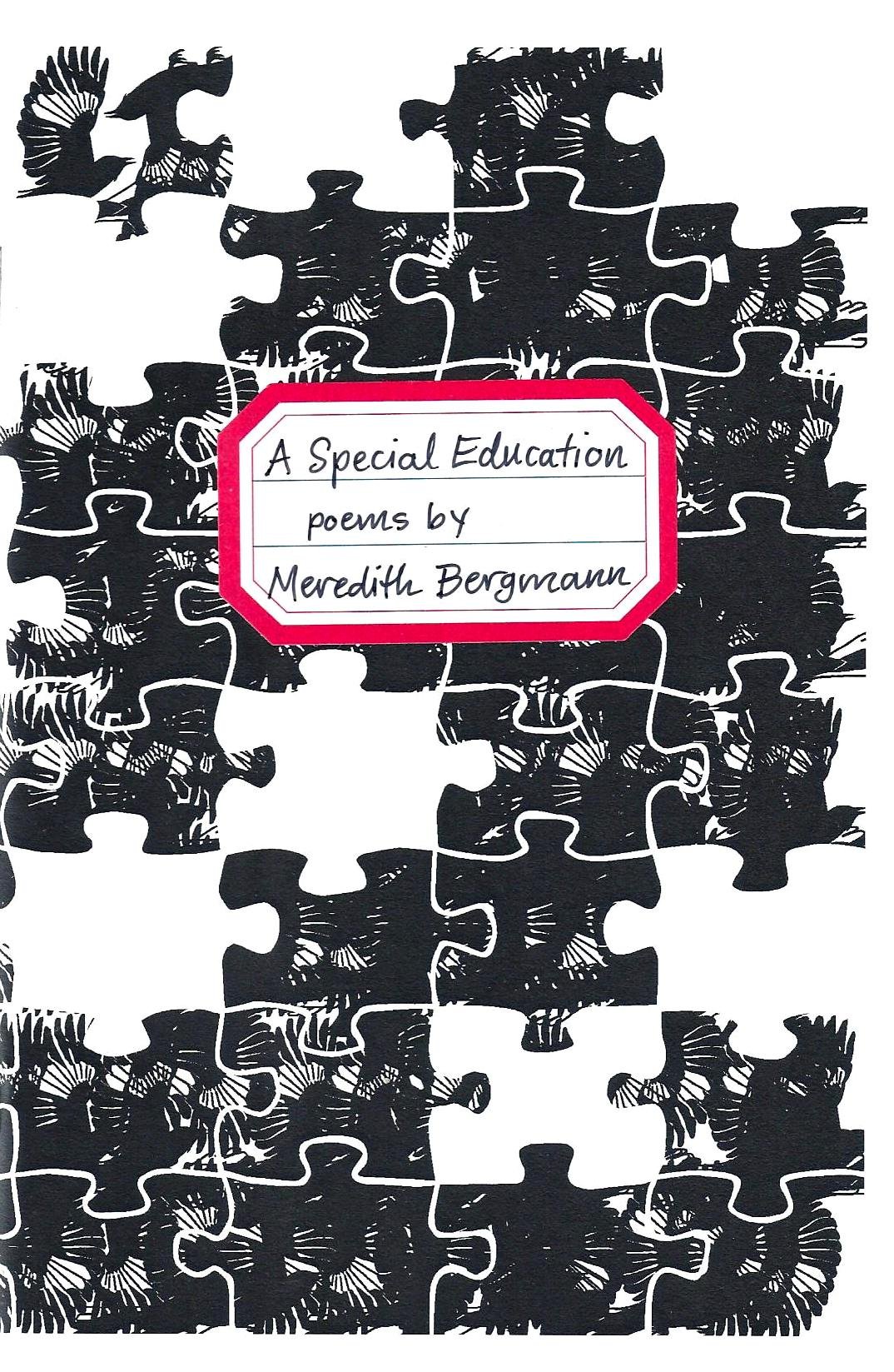 A SPECIAL EDUCATION by Meredith Bergmann