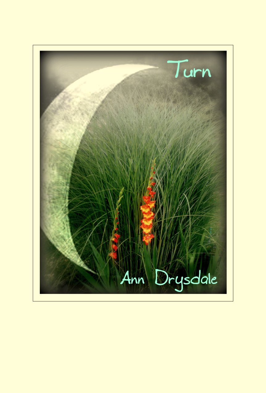 TURN by Ann Drysdale