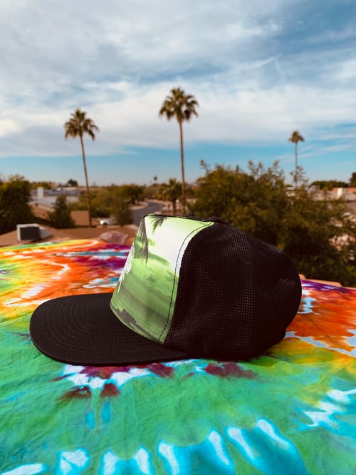 Image of Palm Tree Snapback 