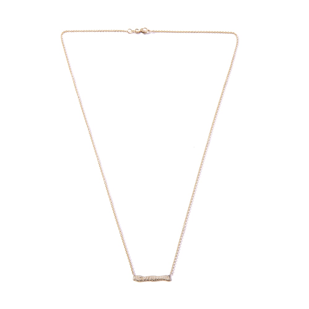 Image of 14k NeverMind Chain & Pendant 