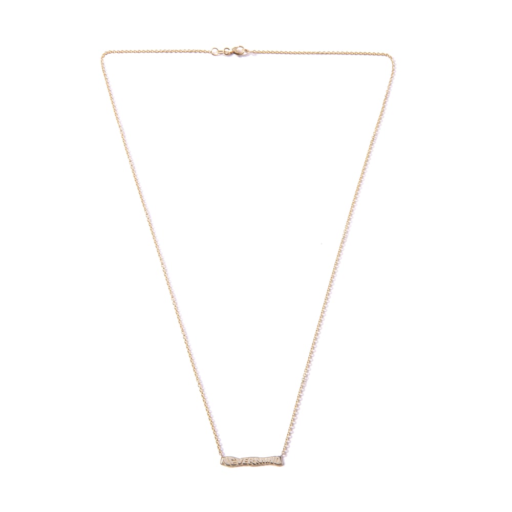 Image of 14k NeverMind Chain & Pendant