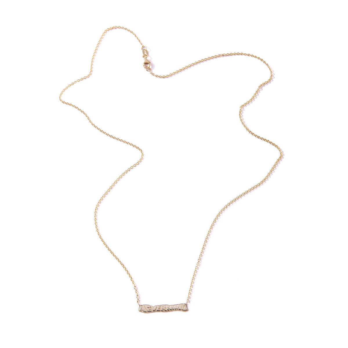 Image of 14k NeverMind Chain & Pendant