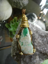 Image 2 of Uma