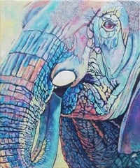 The elephant in the room