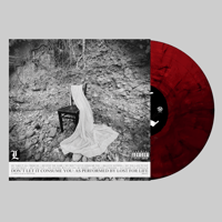 "DON'T LET IT CONSUME YOU" RED VINYL