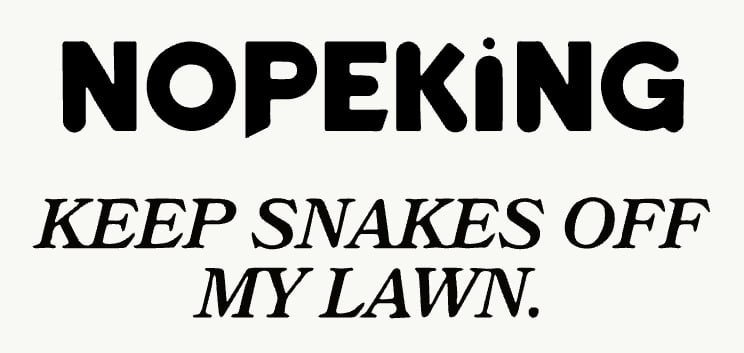 Image of NopeKing "Keep the Snakes Off My Lawn" Lawn