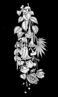 Image 2 of reach a higher plateau