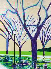 Trees at Sterling Library