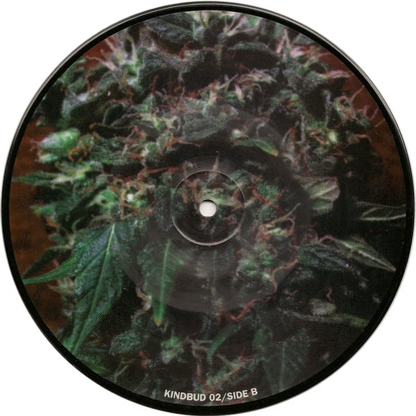 Phobia/Corrupted - Split [Ltd Picture Disc] 7"