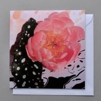 Image 2 of Coral Peony 