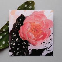 Image 1 of Coral Peony 