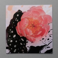 Image 3 of Coral Peony 