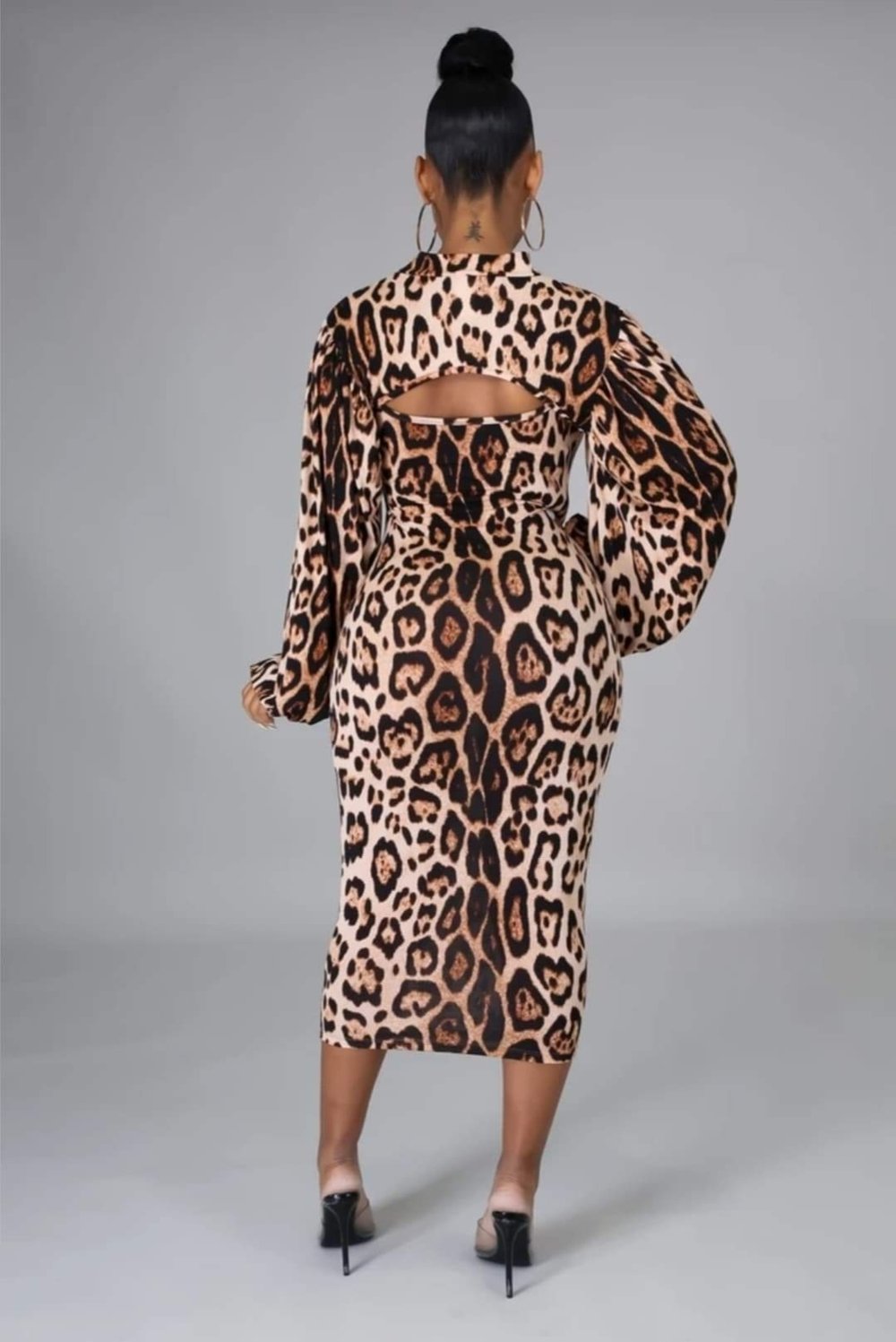 Animal Print Dress 2 piece Set