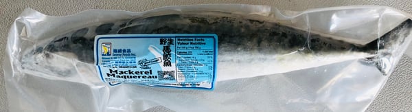 Image of Mackerel 600 up