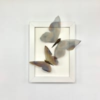 Image 1 of Butterfly Frame 11