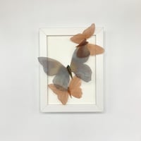 Image 1 of Butterfly Frame 12 