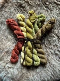 Image 1 of Mini Bundle #5 - 100G Hand Dyed Kent Romney Mini Skeins