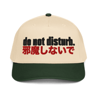 Image 5 of DND premium 5 Panel Cap