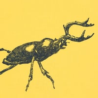 Image 4 of Beetle Tote Bag