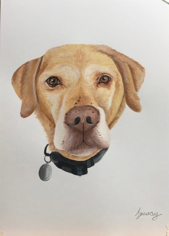 Image of Pet Portrait (A3,A4)