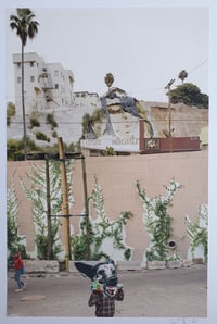 Image 1 of 'Dogtown'