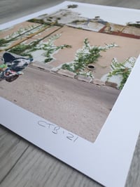 Image 2 of 'Dogtown'