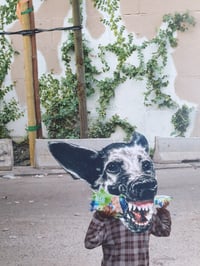 Image 3 of 'Dogtown'