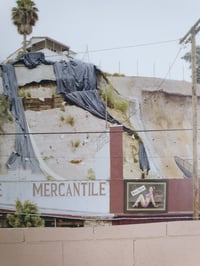 Image 4 of 'Dogtown'