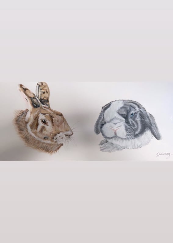 Image of Multi Pet Portrait x2,x3 (A3)