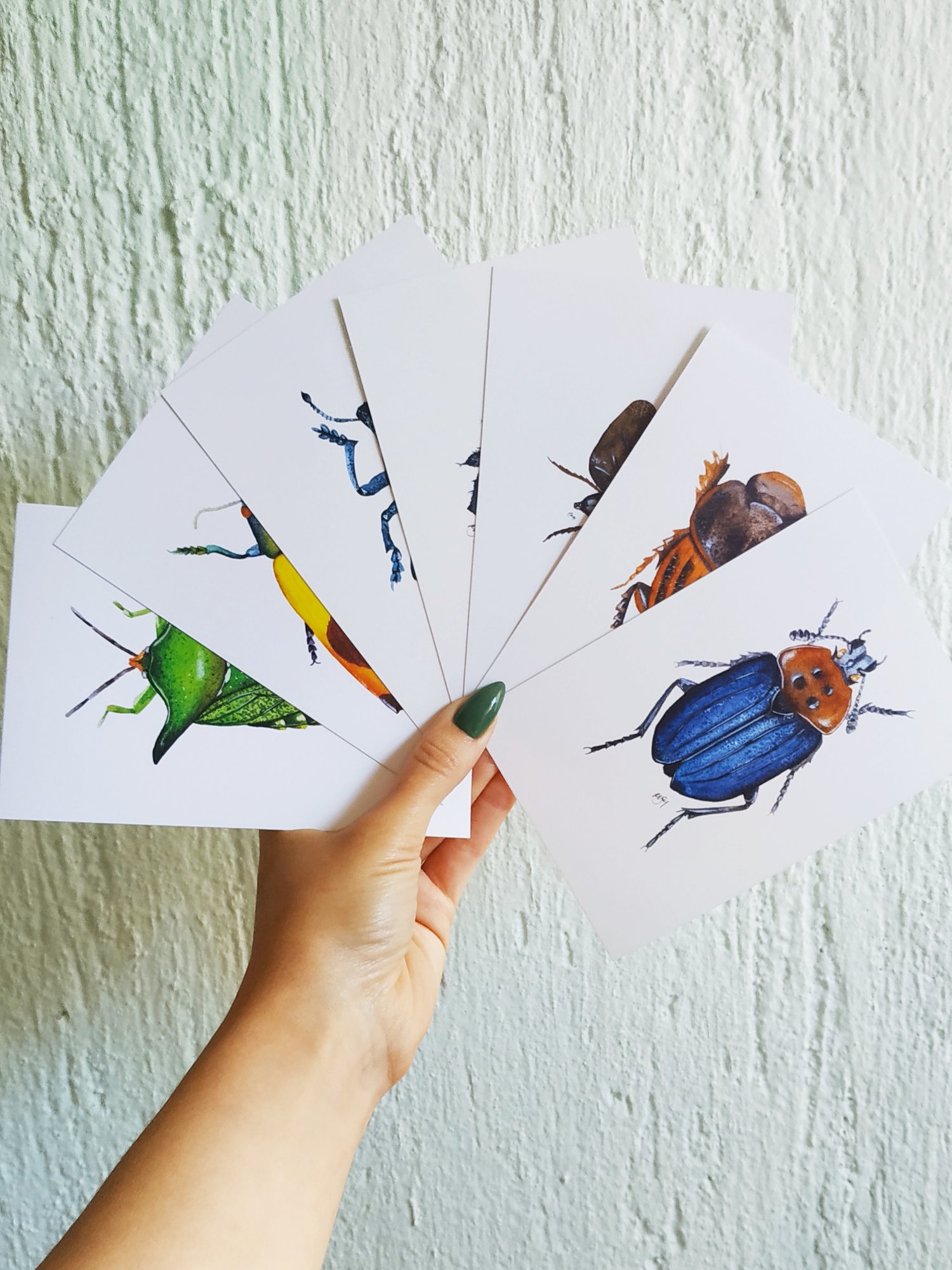 Image of Insect Postcards Set n.3