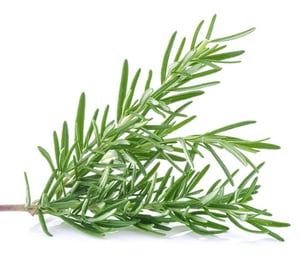 Image of Rosemary