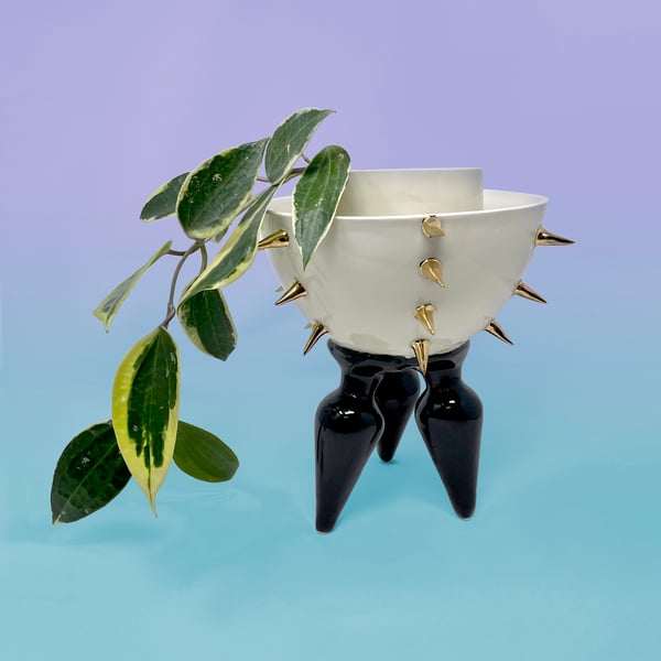 Image of BDSM Bowl with 22Kt Gold
