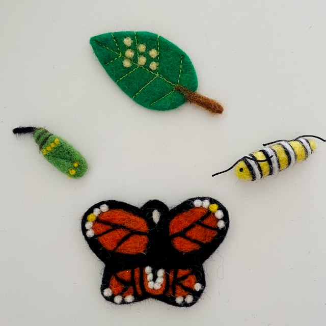 Image of Monarch Butterfly Felt Life Cycle 