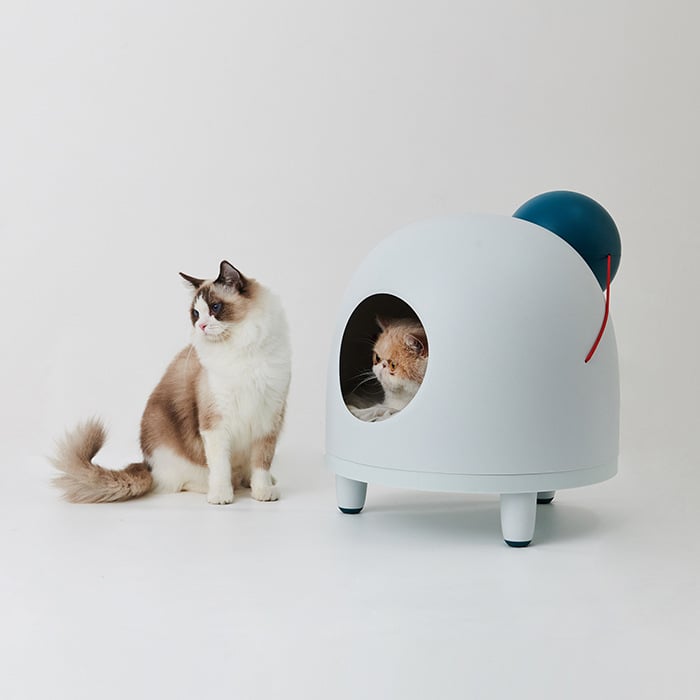 ipet litter box