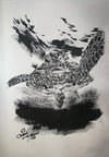 Sea Turtle