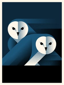 Image of Barn Owl Artprint