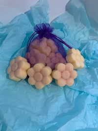 Fruity melties 