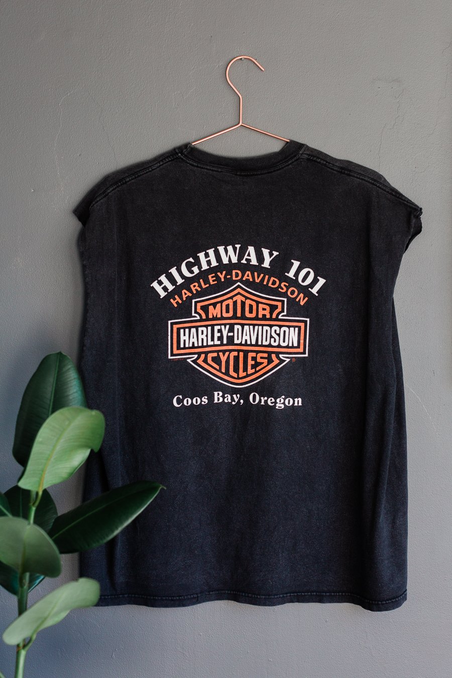 Image of 2001 Harley Davidson Lighthouse Run