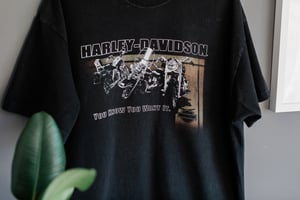 Image of 2004 Harley Davidson 'Flaming Gorge' Tee