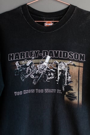 Image of 2004 Harley Davidson 'Flaming Gorge' Tee