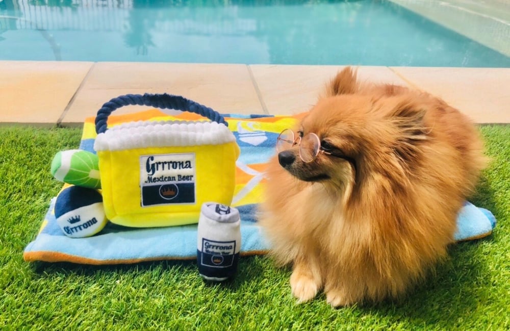Image of Grrrona Cooler - Interactive Toy