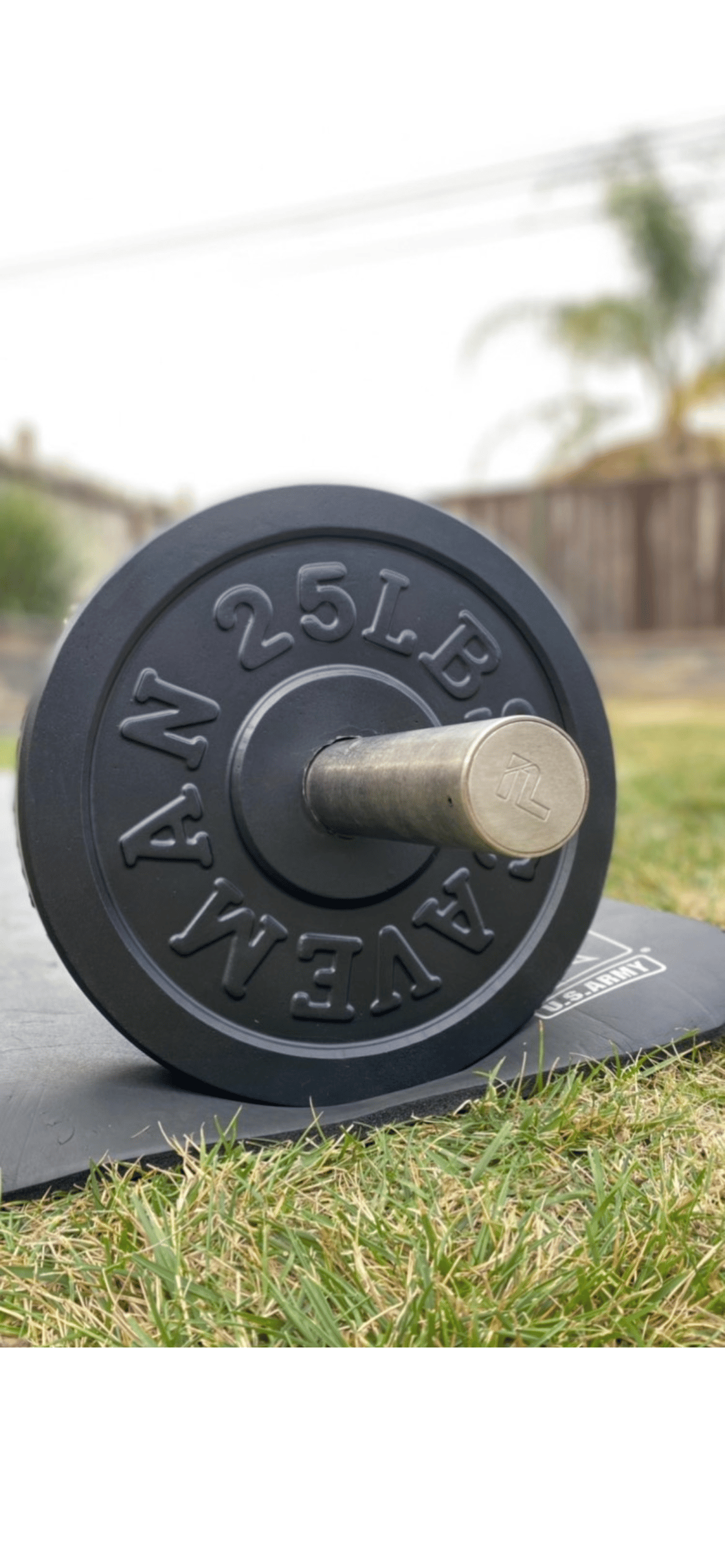 Image of 25 LBS Weight Plate Pair