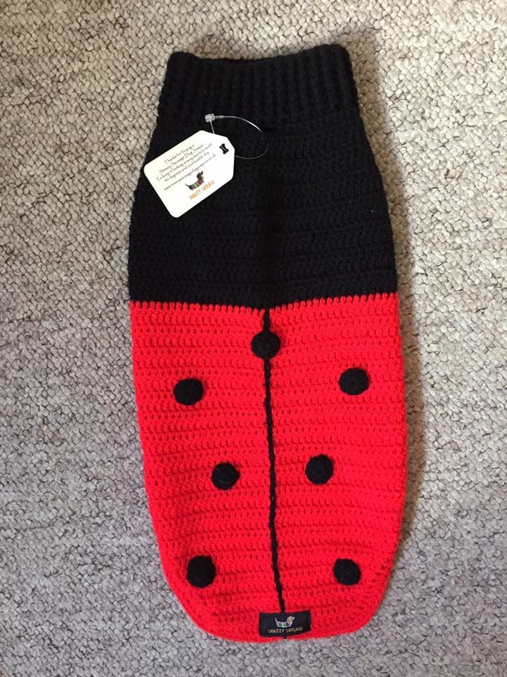 Image of Snazzy Ladybird Jumper