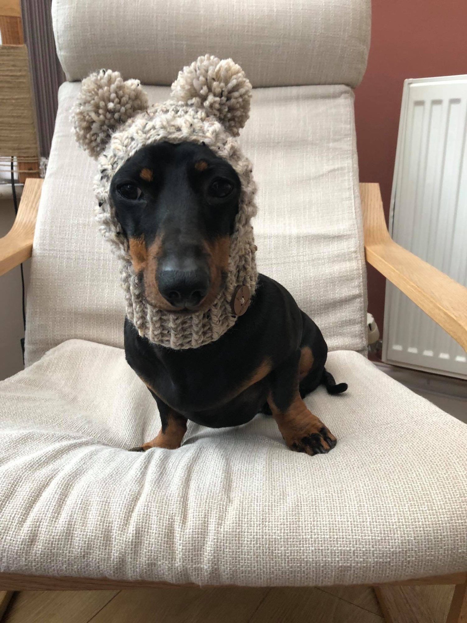 Image of Snazzy Bobble Dachshund Snood