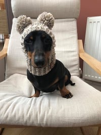 Image 1 of Snazzy Bobble Dachshund Snood