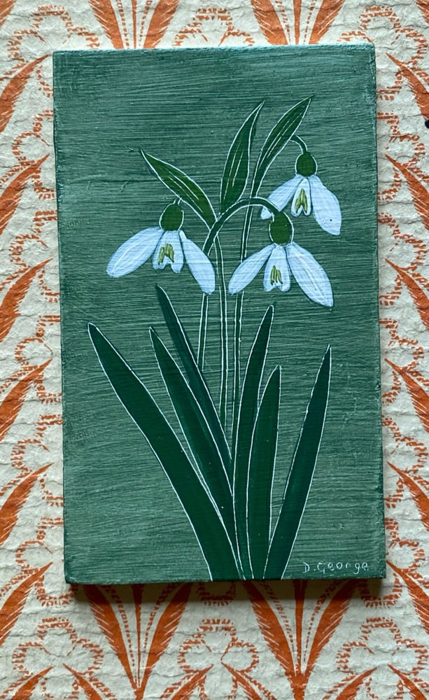 Image of Snowdrop Study (A)