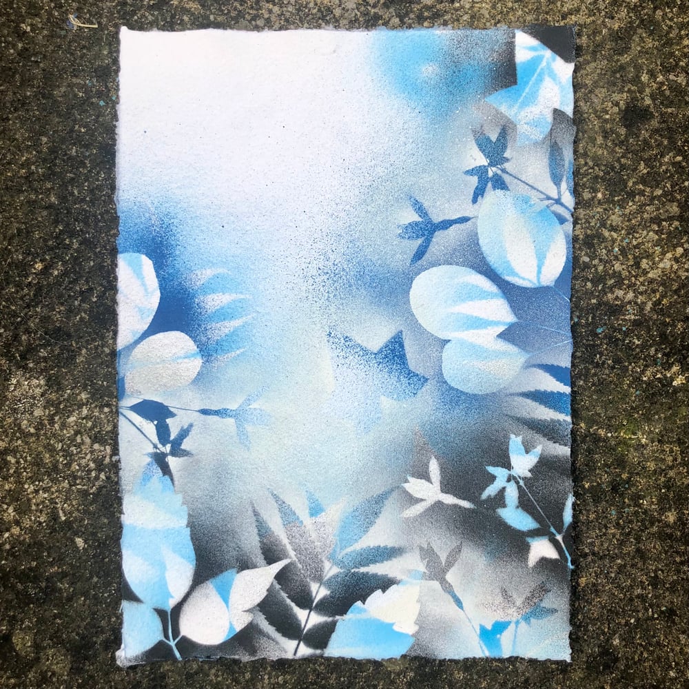 Image of ‘Plant Study 26’ - Original artwork on cotton rag paper